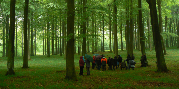 Startseite Professur für Wald und Agroforstsysteme